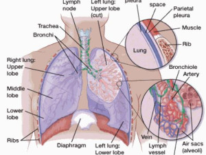 Best Lung Cancer Treatment Hospitals in India