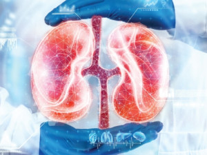 Kidney Transplant Cost In India